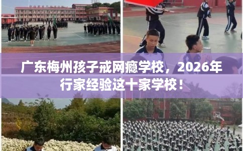 广东梅州孩子戒网瘾学校，2026年行家经验这十家学校！