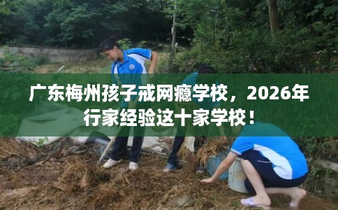 广东梅州孩子戒网瘾学校，2026年行家经验这十家学校！