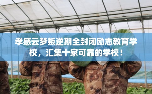 孝感云梦叛逆期全封闭励志教育学校,汇集十家可靠的学校! 孝感云梦叛逆期全封闭励志教育学校,汇集十家可靠的学校!