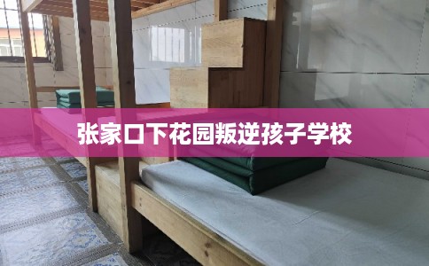 张家口下花园叛逆孩子学校
