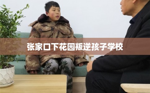 张家口下花园叛逆孩子学校