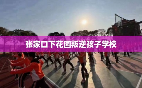 张家口下花园叛逆孩子学校
