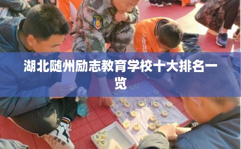 湖北随州励志教育学校十大排名一览 湖北随州励志教育学校十大排名一览