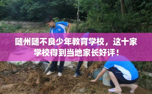 随州随不良少年教育学校，这十家学校得到当地家长好评！