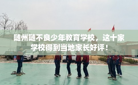 随州随不良少年教育学校，这十家学校得到当地家长好评！