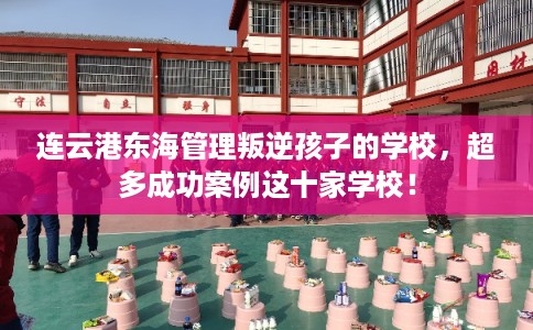 连云港东海管理叛逆孩子的学校,超多成功案例这十家学校! 连云港东海管理叛逆孩子的学校,超多成功案例这十家学校!