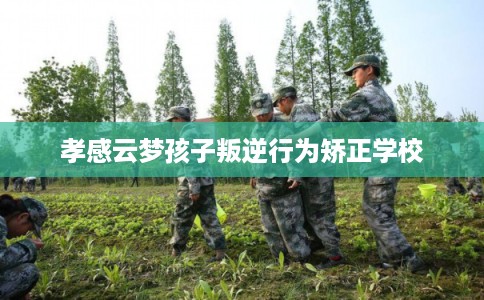 孝感云梦孩子叛逆行为矫正学校