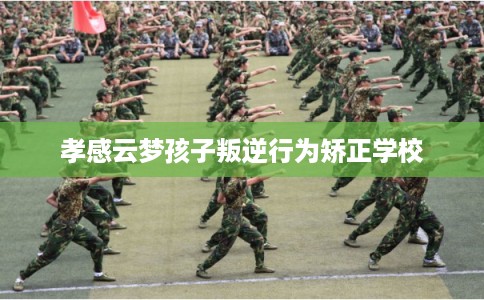 孝感云梦孩子叛逆行为矫正学校