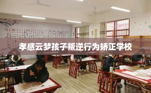 孝感云梦孩子叛逆行为矫正学校