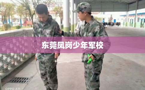 东莞凤岗少年军校