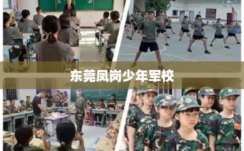 东莞凤岗少年军校