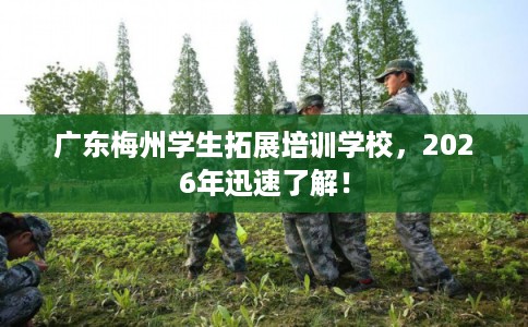 广东梅州学生拓展培训学校,2026年迅速了解! 广东梅州学生拓展培训学校,2026年迅速了解!