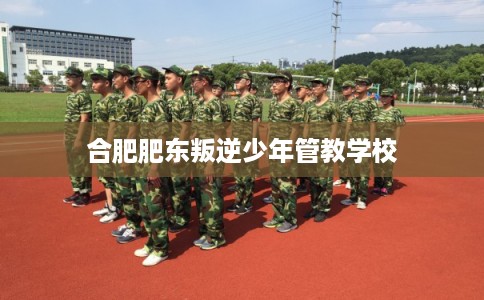 合肥肥东叛逆少年管教学校