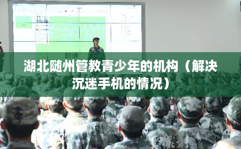 湖北随州管教青少年的机构（解决沉迷手机的情况）