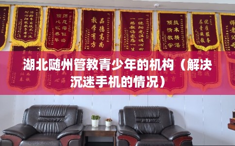 湖北随州管教青少年的机构（解决沉迷手机的情况）