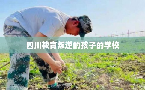 四川教育叛逆的孩子的学校 四川教育叛逆的孩子的学校