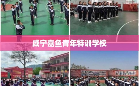 咸宁嘉鱼青年特训学校