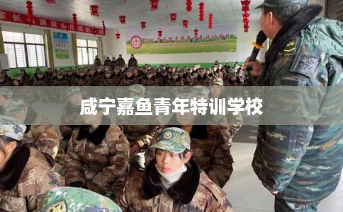咸宁嘉鱼青年特训学校
