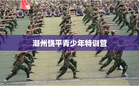 潮州饶平青少年特训营