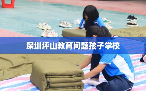 深圳坪山教育问题孩子学校 深圳坪山教育问题孩子学校