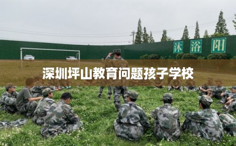 深圳坪山教育问题孩子学校 深圳坪山教育问题孩子学校