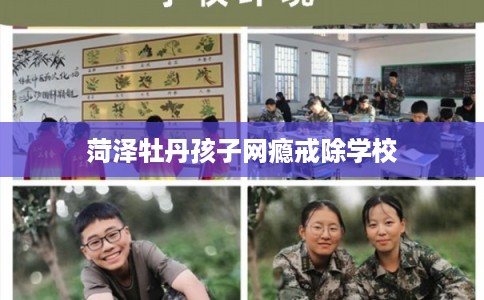 菏泽牡丹孩子网瘾戒除学校