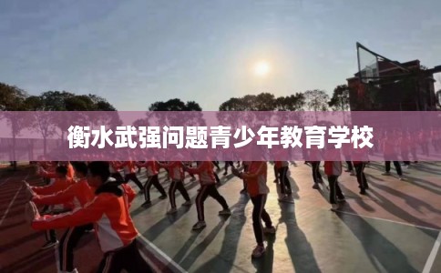 衡水武强问题青少年教育学校