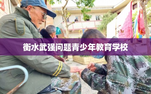 衡水武强问题青少年教育学校