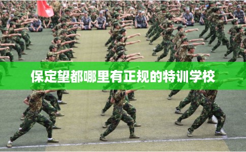 保定望都哪里有正规的特训学校