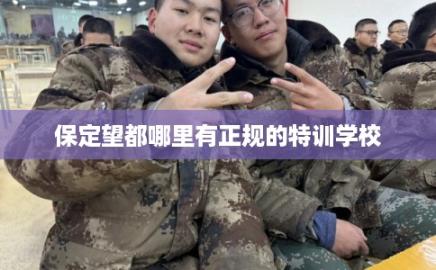 保定望都哪里有正规的特训学校