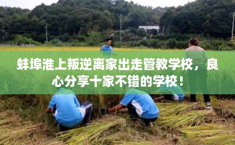 蚌埠淮上叛逆离家出走管教学校，良心分享十家不错的学校！