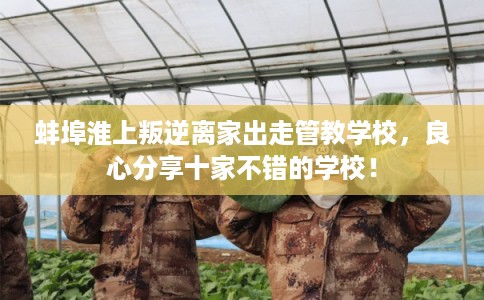 蚌埠淮上叛逆离家出走管教学校，良心分享十家不错的学校！