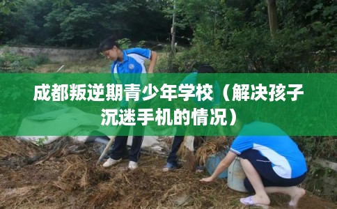 成都叛逆期青少年学校(解决孩子沉迷手机的情况) 成都叛逆期青少年学校(解决孩子沉迷手机的情况)