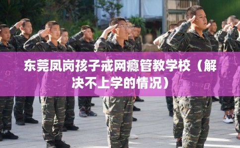 东莞凤岗孩子戒网瘾管教学校（解决不上学的情况）