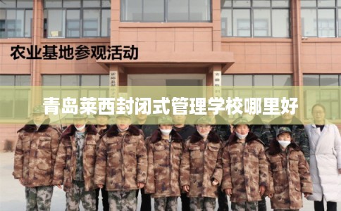 青岛莱西封闭式管理学校哪里好