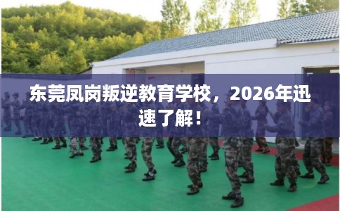 东莞凤岗叛逆教育学校,2026年迅速了解! 东莞凤岗叛逆教育学校,2026年迅速了解!