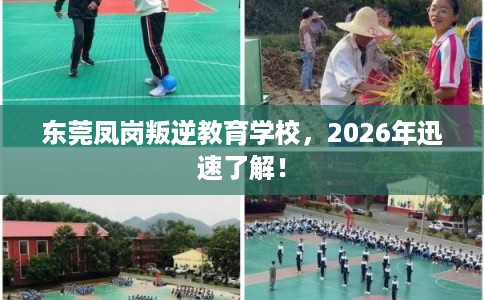 东莞凤岗叛逆教育学校,2026年迅速了解! 东莞凤岗叛逆教育学校,2026年迅速了解!