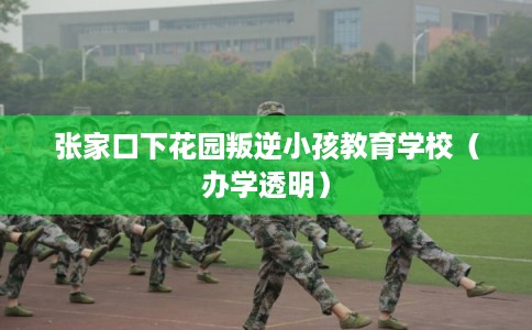 张家口下花园叛逆小孩教育学校(办学透明) 张家口下花园叛逆小孩教育学校(办学透明)