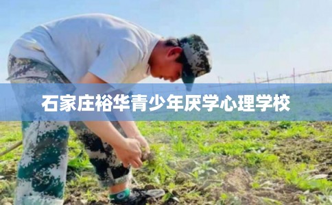 石家庄裕华青少年厌学心理学校