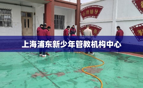 上海浦东新少年管教机构中心