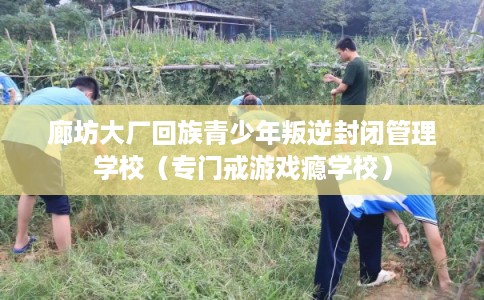 廊坊大厂回族青少年叛逆封闭管理学校（专门戒游戏瘾学校）