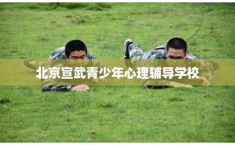 北京宣武青少年心理辅导学校