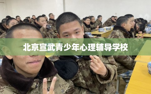 北京宣武青少年心理辅导学校