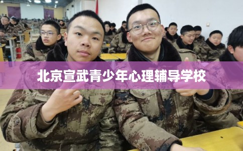 北京宣武青少年心理辅导学校