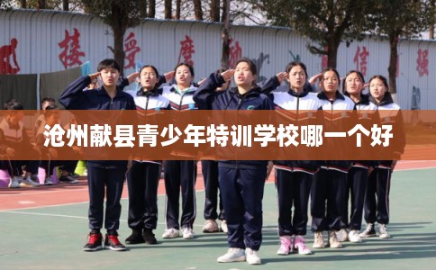 沧州献县青少年特训学校哪一个好