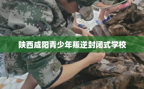 陕西咸阳青少年叛逆封闭式学校 陕西咸阳青少年叛逆封闭式学校
