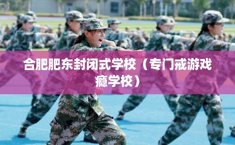 合肥肥东封闭式学校（专门戒游戏瘾学校）