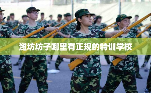 潍坊坊子哪里有正规的特训学校