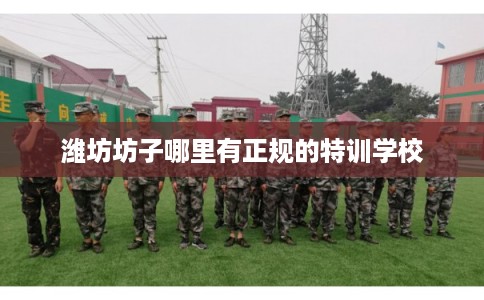 潍坊坊子哪里有正规的特训学校