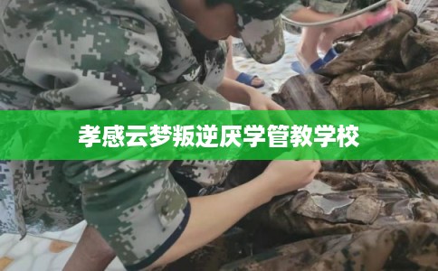 孝感云梦叛逆厌学管教学校